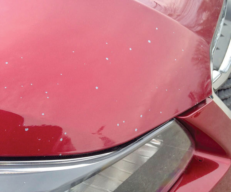 Chipped White Car before