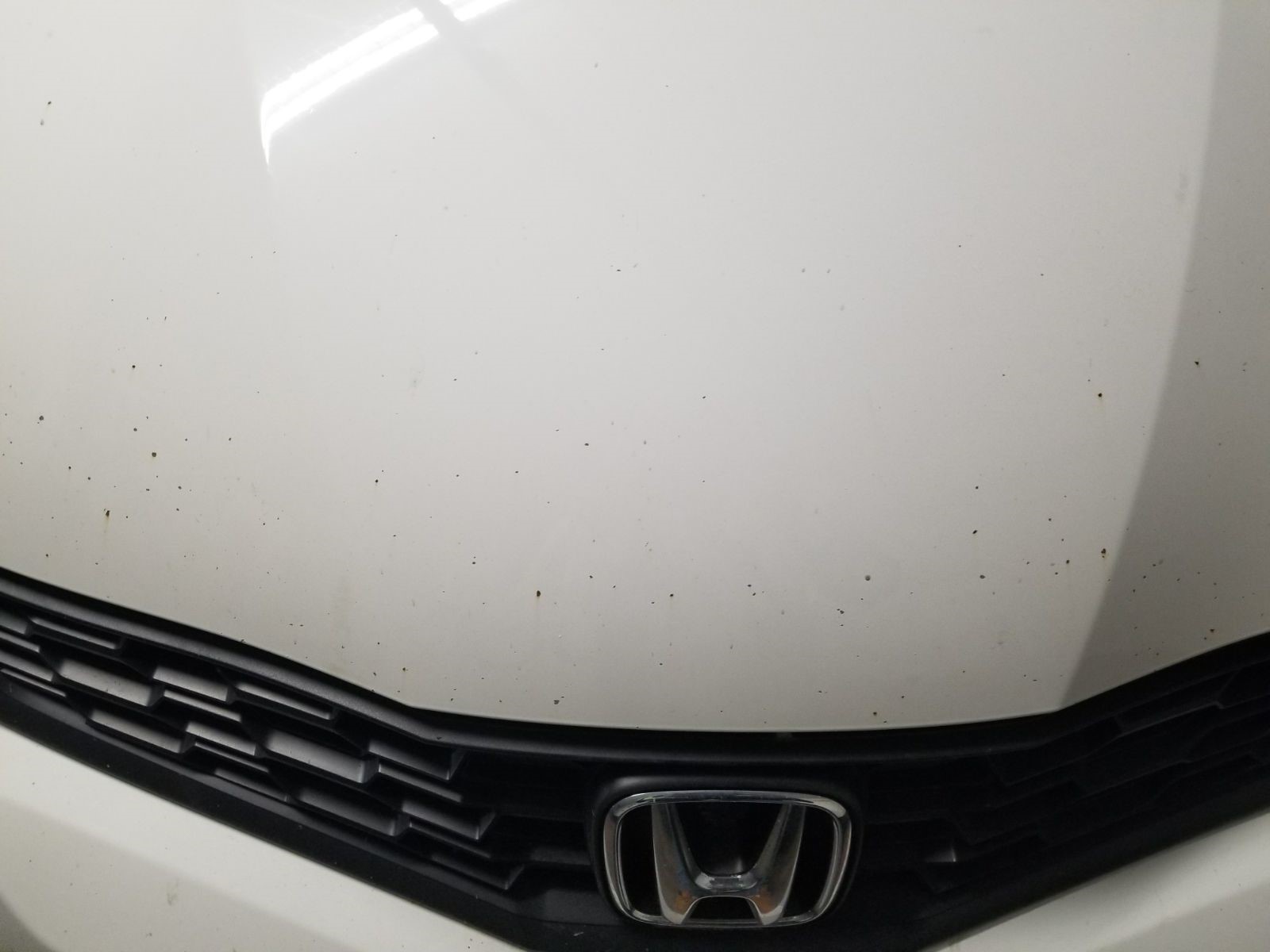 white-honda-before white Honda before